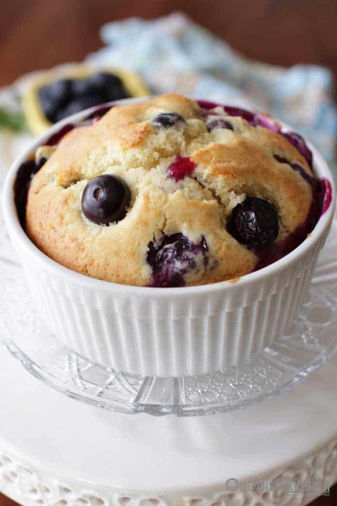 blueberry muffin