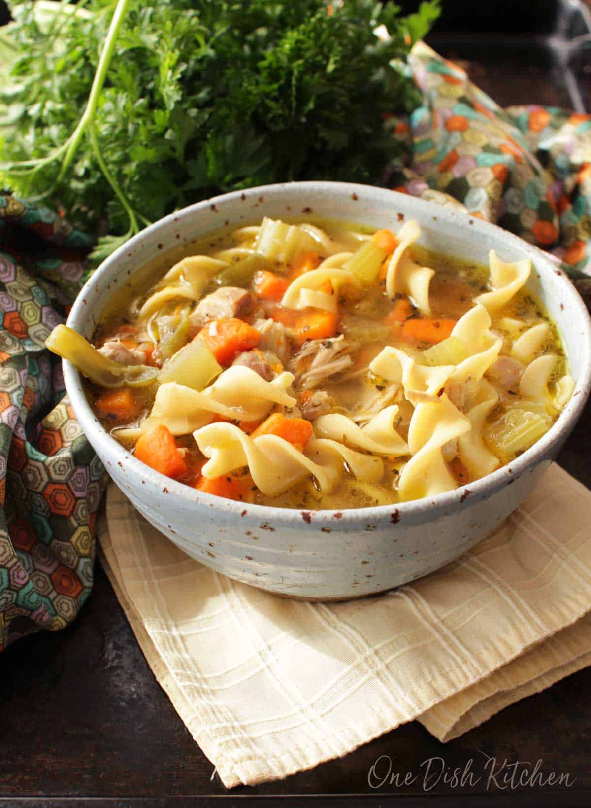 A bowl of chicken noodle soup