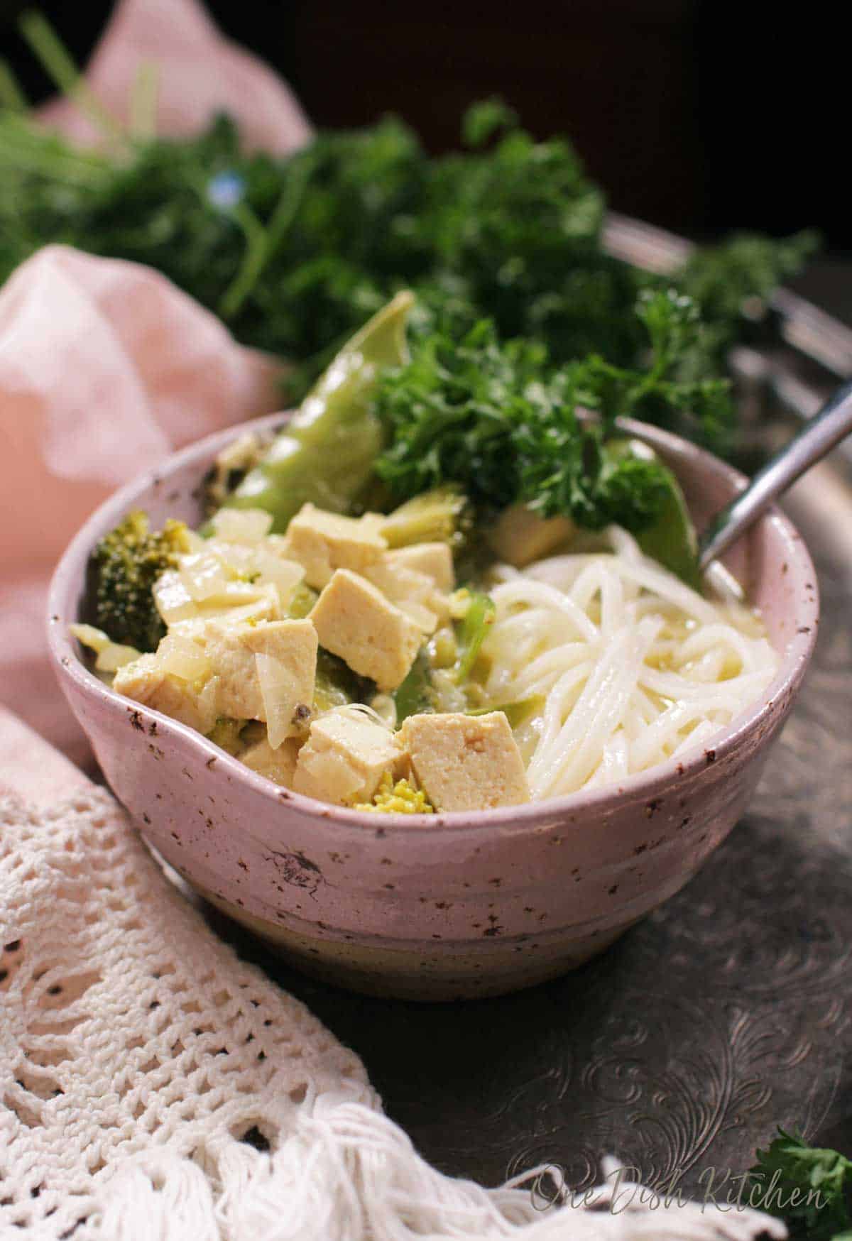 closeup of a bowl of green curry with chicken | one dish kitchen
