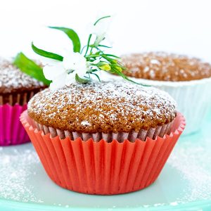 Paleo Vanilla Chocolate Chip Muffins