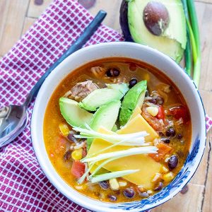 Gluten-Free Chicken Fajita Stew