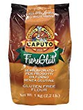 pizza flour, gluten free