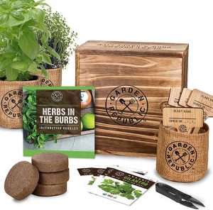 indoor herb garden starter