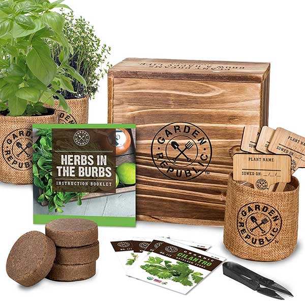 indoor herb garden starter