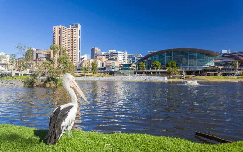 Feast Festival Adelaide - LGBTQ Festival - South Australia - Australia