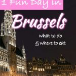 Brussels in 1 day
