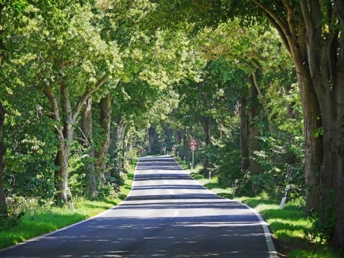 Aleenstraße Garz auf Rügen Aleenstraße Garz auf Rügen