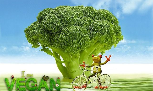 deficiencias dieta vegana deficiencias dieta vegana