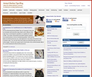 Animal Shelter Tips