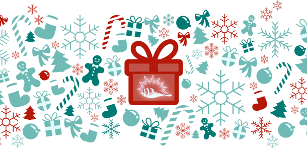 SEO Audit and Site Testing as This Year’s Annual QArea Christmas Present Offer
