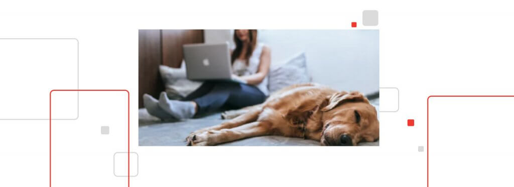 QArea is Temporarily Transitioning to Remote Work