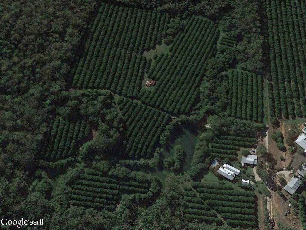 Macadamia growers' case study 2017 10 Base map