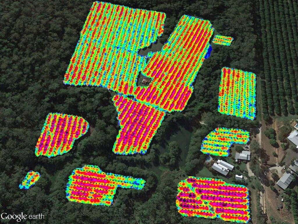 Macadamia growers' case study 2017 26 Canopy height above ground level