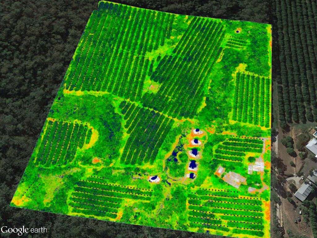 Macadamia growers' case study 2017 28 NDVI mapping of macadamia orchard