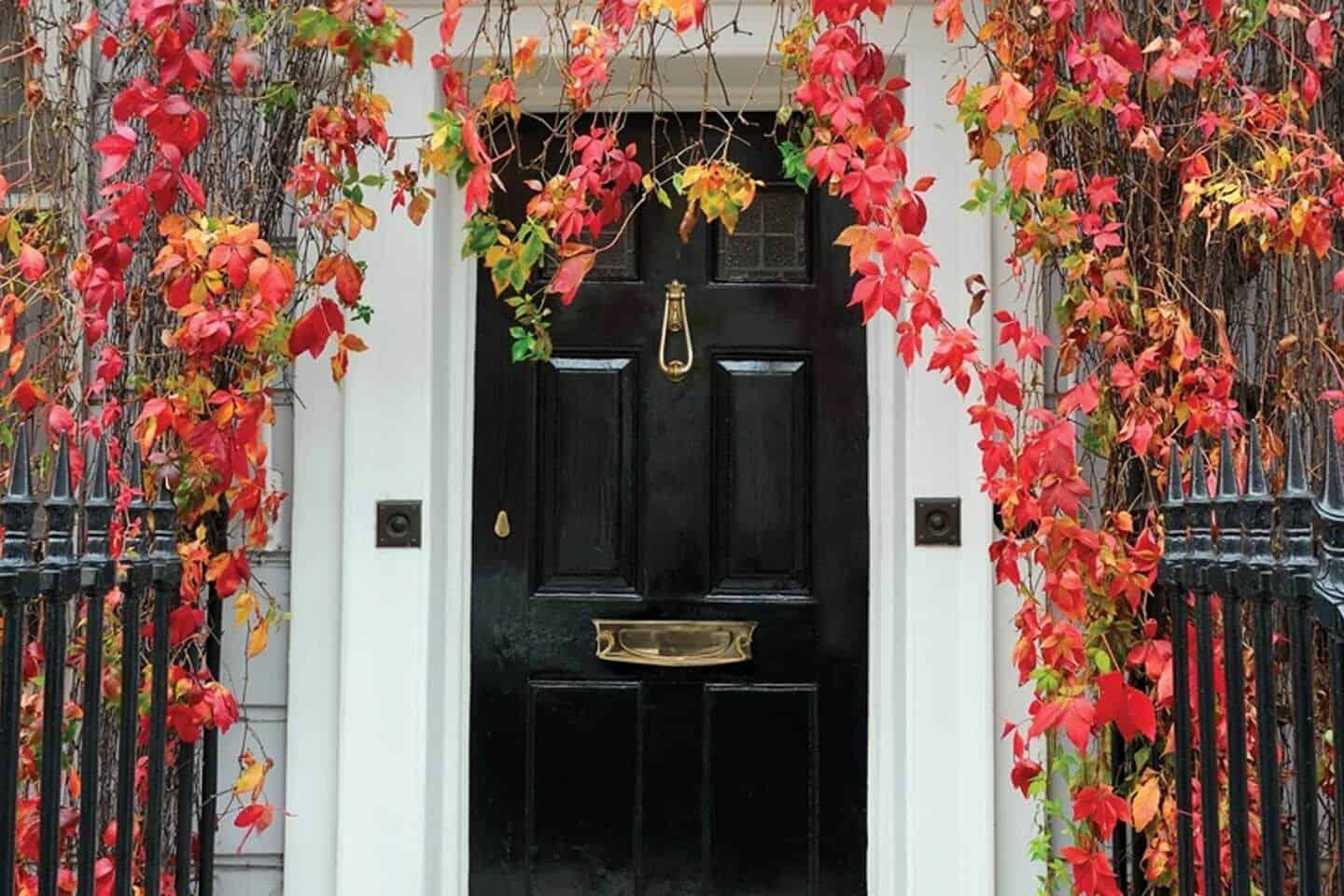 Centre doorknobs are also usually found all across homes in Britain