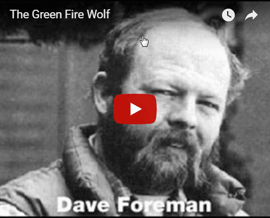 dave foreman green fire wolf dave foreman green fire wolf