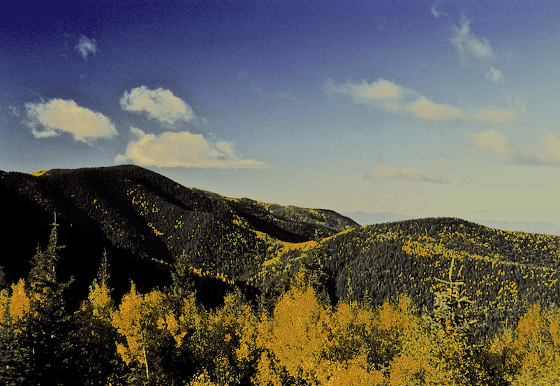 Gila National Forest, Gila Wilderness Area, c/o Dave Foreman Gila National Forest, Gila Wilderness Area, c/o Dave Foreman