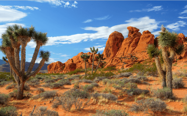 Gold Butte National Monument, BLM Gold Butte National Monument, BLM