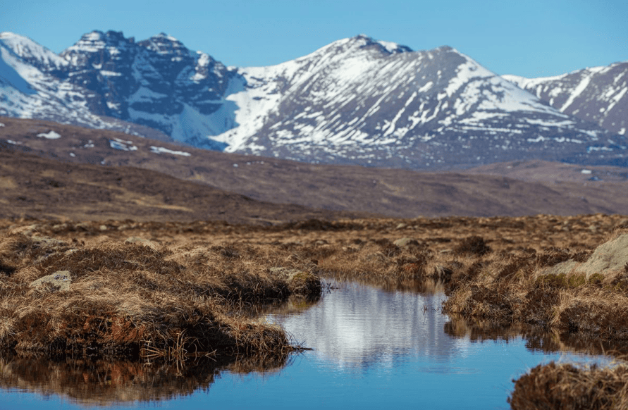 Scotland is an area of the UK where rewilding principles could really be applied at landscape scale. Photo: Daniel Allen