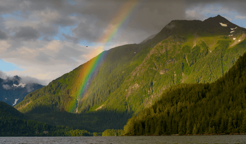Tongass National Forest © Crossroads Photography Tongass National Forest © Crossroads Photography