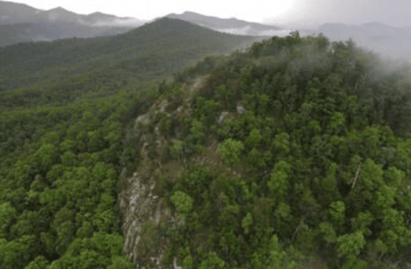 Box Creek Wilderness © Lloyd Raleigh Box Creek Wilderness © Lloyd Raleigh