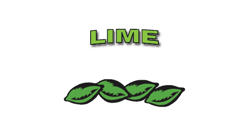 product_logo_lime product_logo_lime