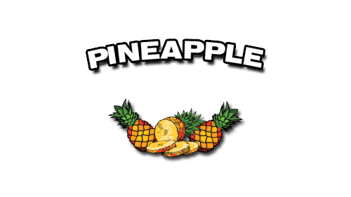 product_logo_pinneapple product_logo_pinneapple