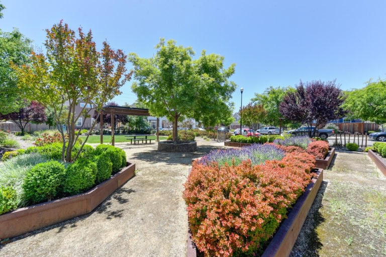 1349 Piper Place, Roseville 95747