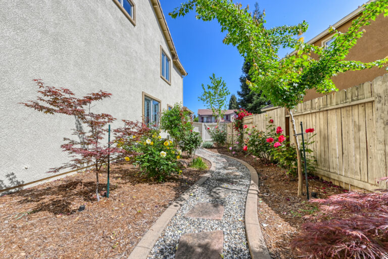 Bkyd-SideYard-Roses-image-50
