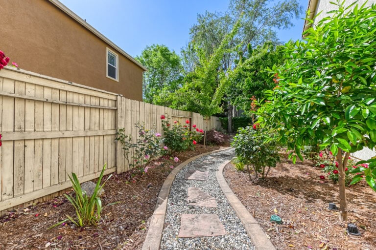 Bkyd-SideYard-Roses-image-51
