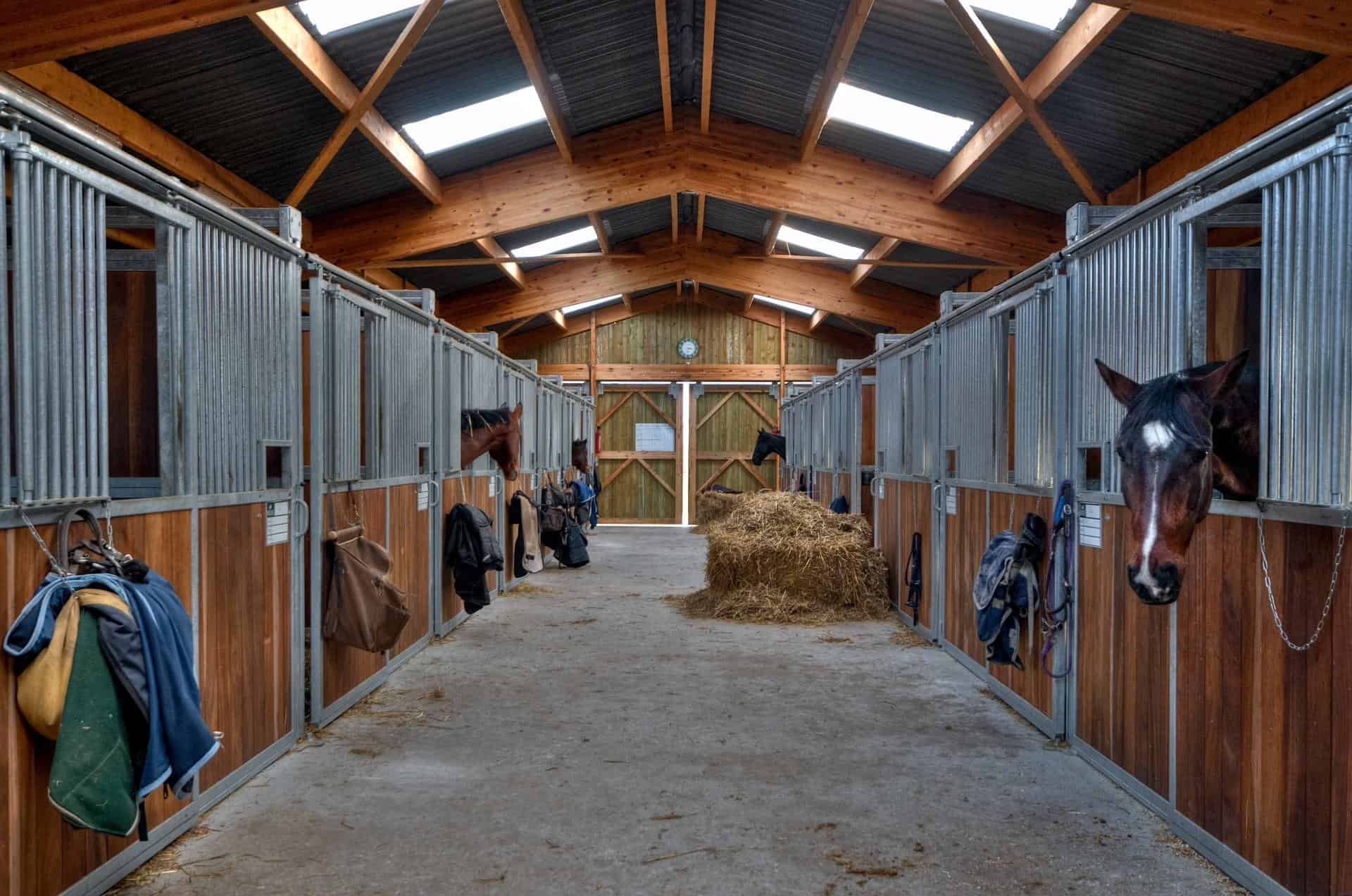 AgroEcosun stable 2020481 1920 - AgroEcosun
