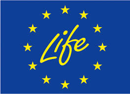 Life Life