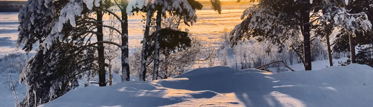 winter