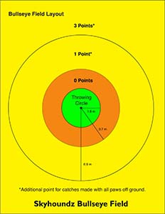 Bullseye Diagram Meters