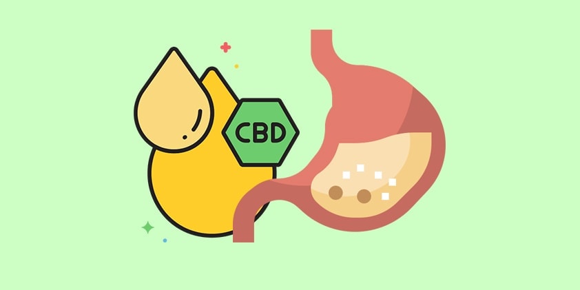 Using CBD Oil To Treat Stomach Conditions