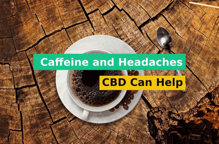 Caffeine and Headaches Can CBD Help