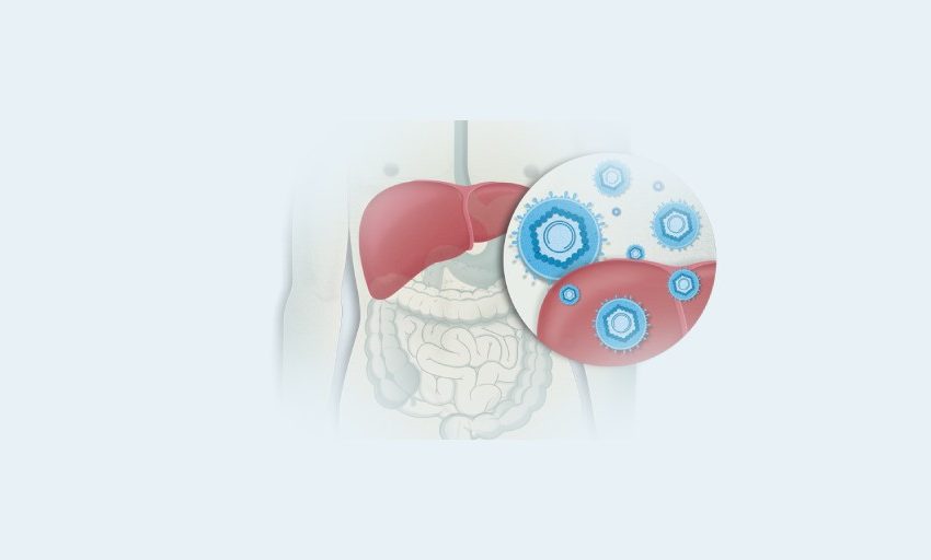 CBD for Hepatitis