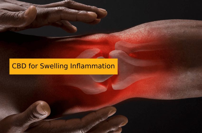 CBD for Swelling Inflammation