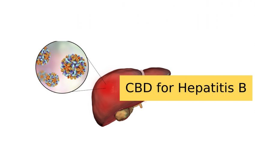 CBD for Hepatitis B