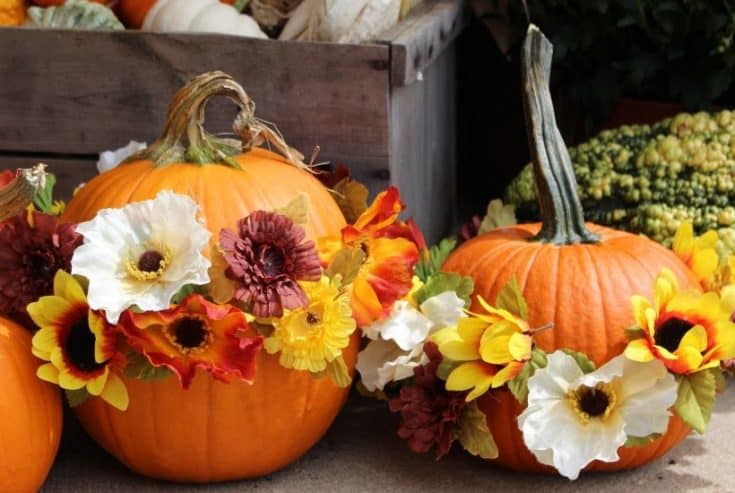 Get creative with your fall front porch decor this year. These festive no-carve flower pumpkins are so pretty and so easy to make. These pumpkin flower arrangements are so welcoming.