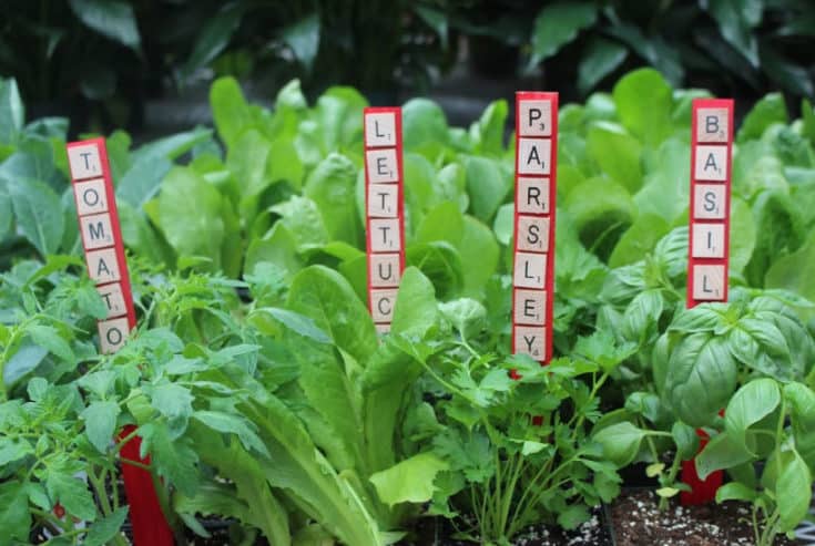 Looking for an easy and fun gardening craft for the whole family? These Letter Tile Garden Markers are simple and look great in your vegetable garden.