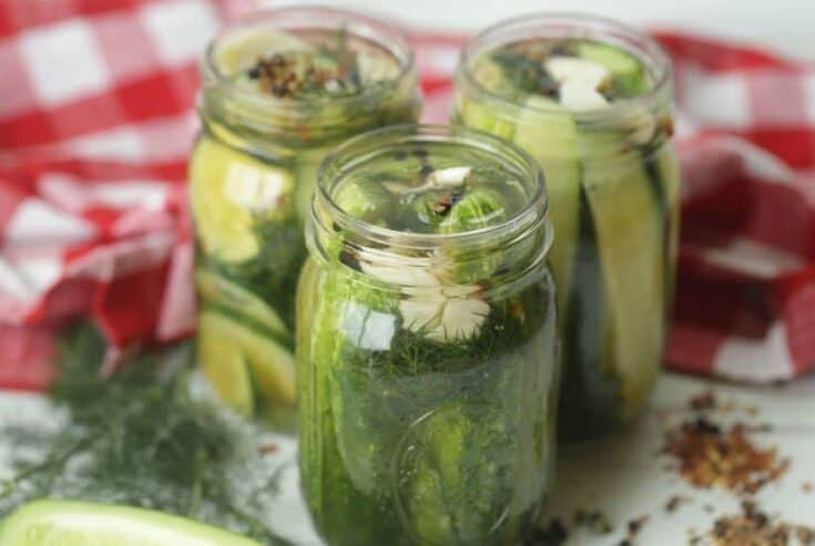 This Easy Homemade Refrigerator Dill Pickles recipe packs a lot of crunch and zesty flavor. There is no canning involved in this easy refrigerator pickle recipe. This recipe is a great way to use those cucumbers you just picked from your garden or bought at your farmers' market. These refrigerator pickles are cucumbers that are pickled in a homemade brine with garlic, dill and spices.