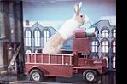 A bunny riding a tiny truck