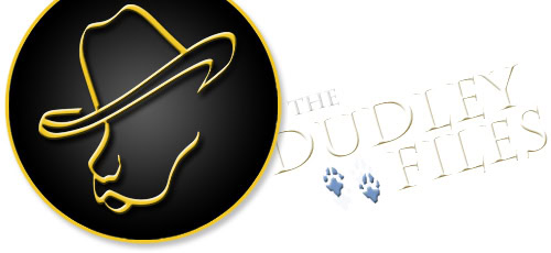 Dudle Files logo