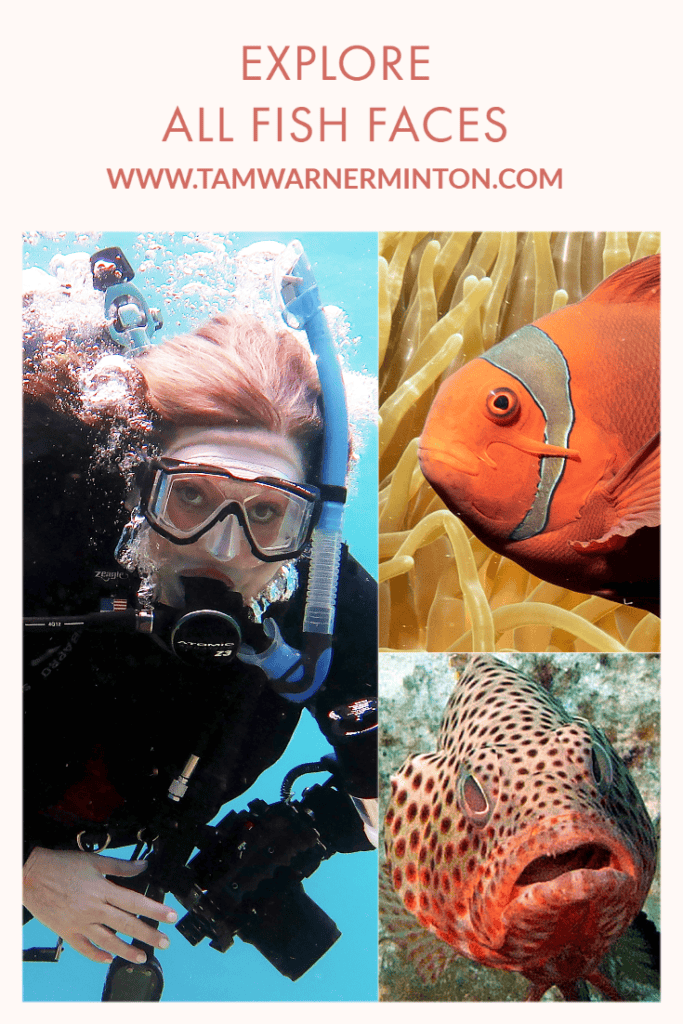 2nd edition of all fish faces, all fish faces, new 2nd edition, new 2nd edition all fish faces