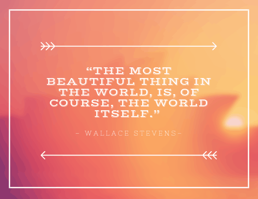 “The most beautiful thing in the world, is, of course, the world itself.”