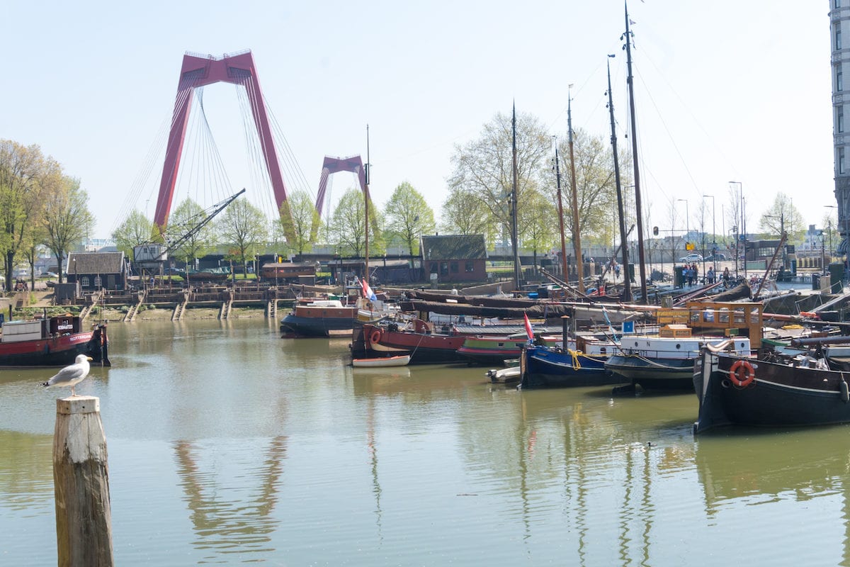 que hacer en rotterdam