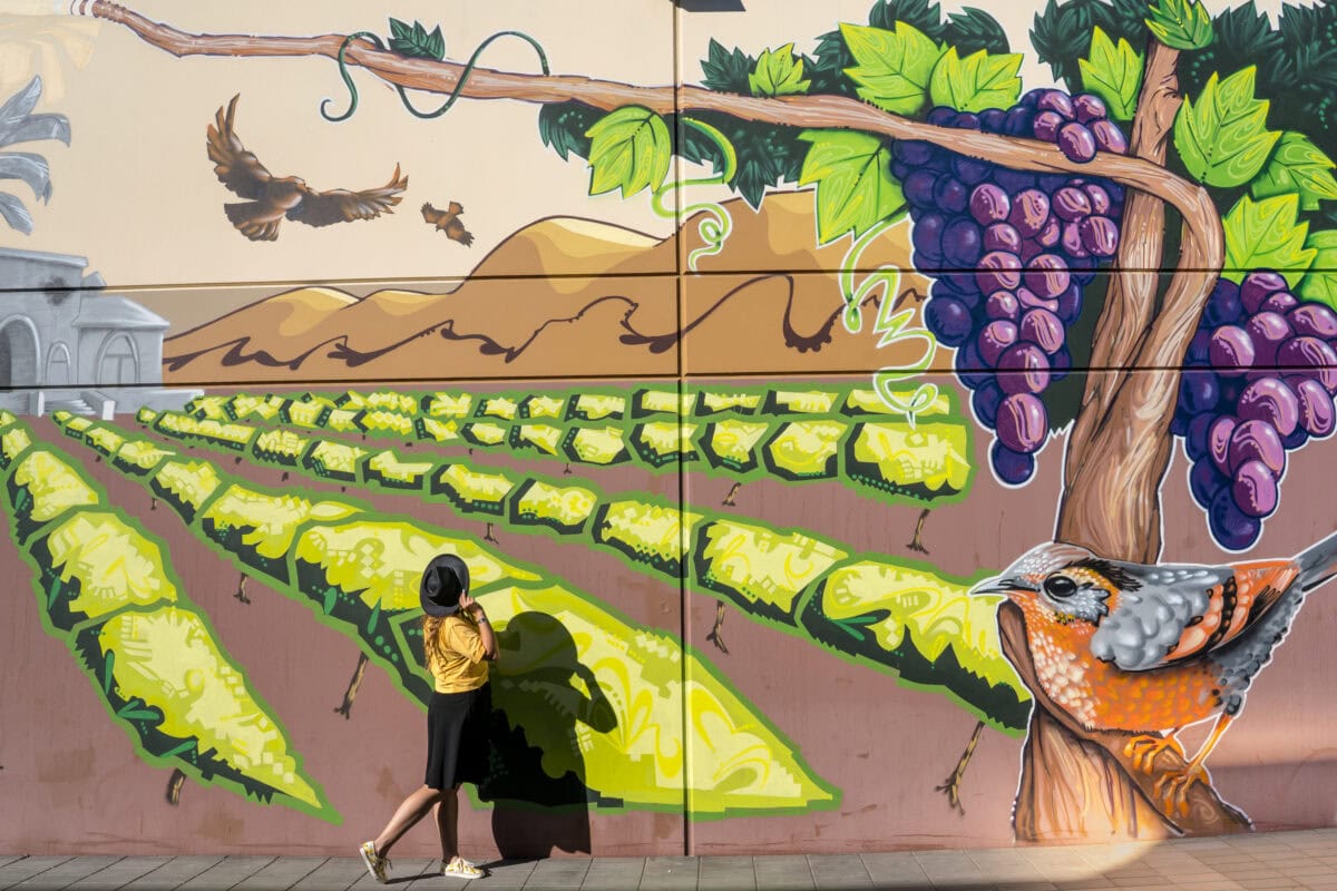 The Ultimate Guide to Wine Tasting in Livermore Valley Wine Country