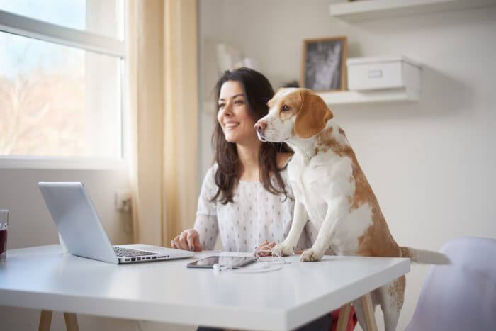 10 Sites Para Ganhar Dinheiro em Casa