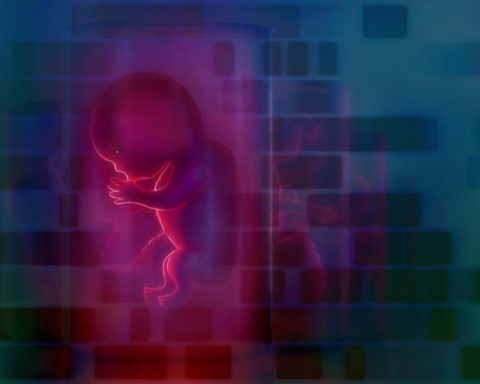 Des mutations inquiétantes sur les bébés chinois génétiquement modifiés par CRISPR